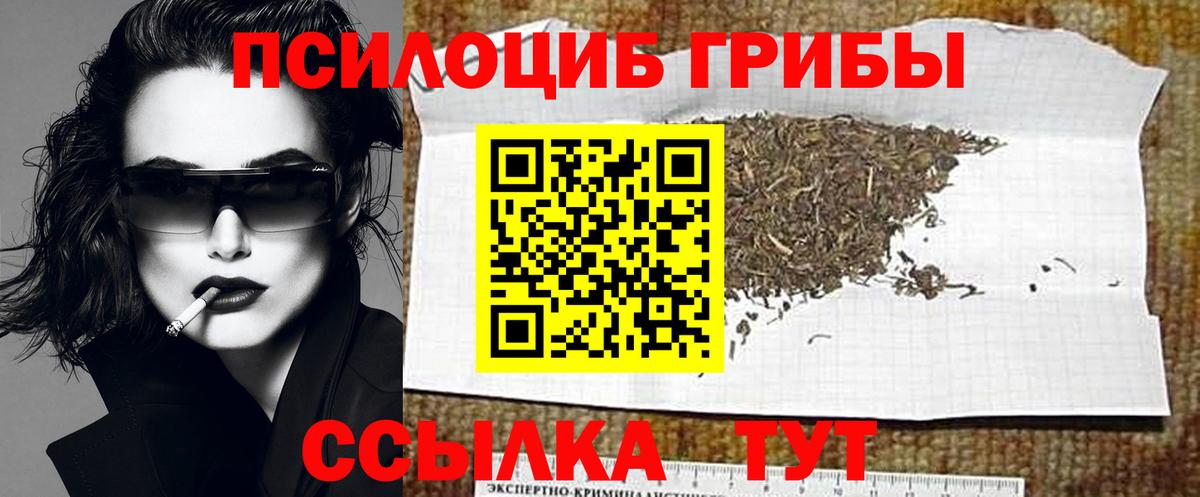 Балахна  Псилоцибиновые грибы MAGIC MUSHROOMS  Галлюциногенные грибы ЛСД  Вход с VPN 