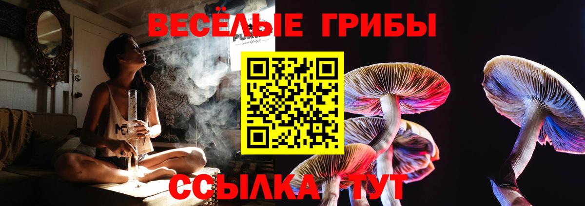 Псилоцибиновые грибы Cubensis Балахна